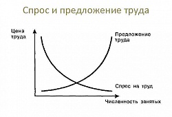 Оценка отраслевого рынка труда