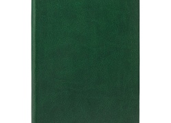 Ежедневник Romano, недатированный, зеленый