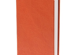 Ежедневник Basis Mini, недатированный, оранжевый