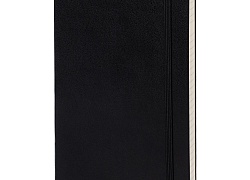 Записная книжка Moleskine Professional Large, черная