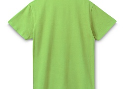 Рубашка поло мужская Spring 210, зеленое яблоко